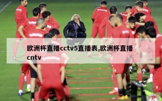 欧洲杯直播cctv5直播表,欧洲杯直播 cntv