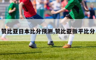 赞比亚日本比分预测,赞比亚扳平比分