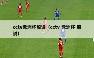 cctv欧洲杯解说（cctv 欧洲杯 解说）