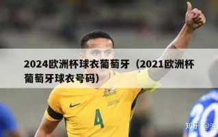 2024欧洲杯球衣葡萄牙（2021欧洲杯葡萄牙球衣号码）