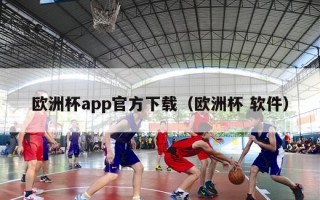 欧洲杯app官方下载（欧洲杯 软件）