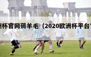 欧洲杯官网薅羊毛（2020欧洲杯平台官网）