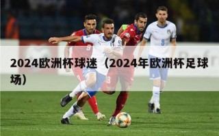 2024欧洲杯球迷（2024年欧洲杯足球场）