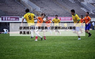 欧洲杯2023赛程表（欧洲杯2023赛程表直播）