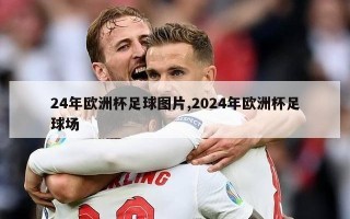 24年欧洲杯足球图片,2024年欧洲杯足球场