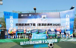 欣杨欧洲杯下载（新浪欧洲杯2020）