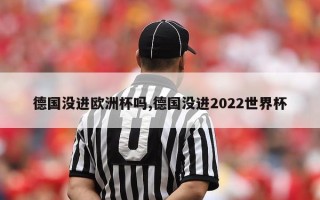 德国没进欧洲杯吗,德国没进2022世界杯