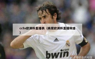 cctv欧洲杯直播表（央视欧洲杯直播频道）