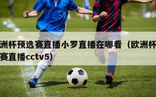 欧洲杯预选赛直播小罗直播在哪看（欧洲杯小组赛直播cctv5）