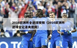 2016欧洲杯全进球视频（2016欧洲杯进球全记录央视网）