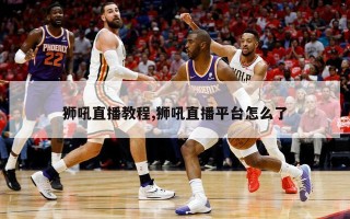 狮吼直播教程,狮吼直播平台怎么了