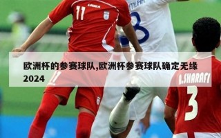 欧洲杯的参赛球队,欧洲杯参赛球队确定无缘2024