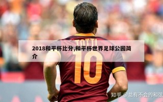 2018和平杯比分,和平杯世界足球公园简介