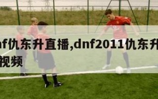 dnf仇东升直播,dnf2011仇东升比赛视频