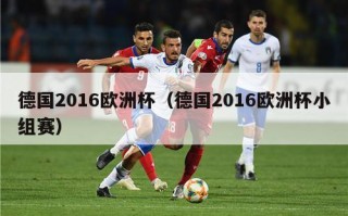 德国2016欧洲杯（德国2016欧洲杯小组赛）