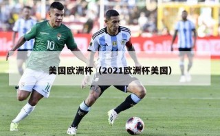 美国欧洲杯（2021欧洲杯美国）