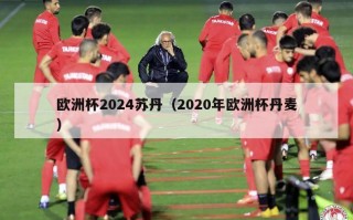 欧洲杯2024苏丹（2020年欧洲杯丹麦）