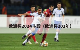 欧洲杯2024斗殴（欧洲杯202年）