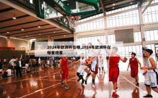 2024年欧洲杯在哪,2024年欧洲杯在哪里观看