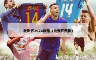 欧洲杯2024欧赔（欧洲杯赔例）