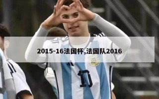 2015-16法国杯,法国队2016