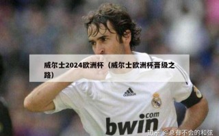 威尔士2024欧洲杯（威尔士欧洲杯晋级之路）