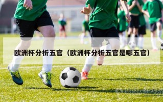 欧洲杯分析五官（欧洲杯分析五官是哪五官）