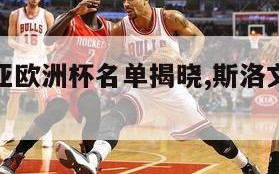 斯洛文尼亚欧洲杯名单揭晓,斯洛文尼亚欧预赛