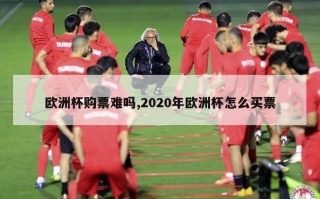 欧洲杯购票难吗,2020年欧洲杯怎么买票