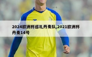 2024欧洲杯巡礼丹麦队,2021欧洲杯丹麦14号