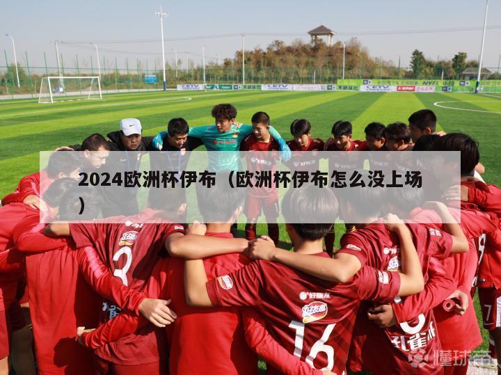 2024欧洲杯伊布（欧洲杯伊布怎么没上场）-第1张图片-