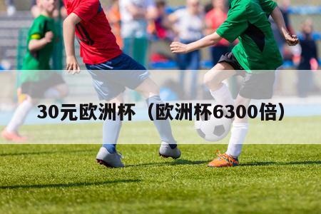 30元欧洲杯（欧洲杯6300倍）-第1张图片-