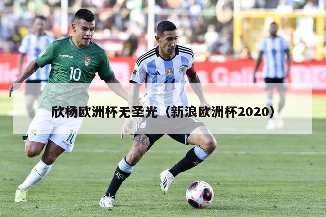 欣杨欧洲杯无圣光（新浪欧洲杯2020）-第1张图片-