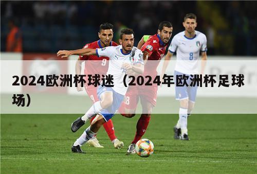 2024欧洲杯球迷（2024年欧洲杯足球场）-第1张图片-