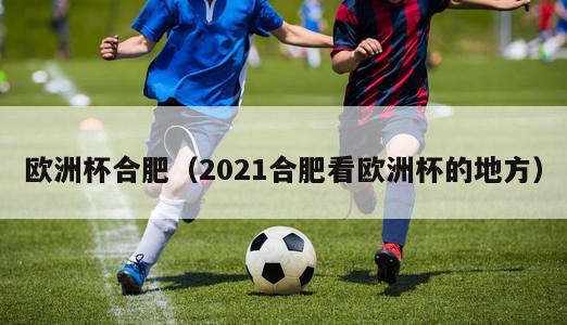 欧洲杯合肥（2021合肥看欧洲杯的地方）-第1张图片-