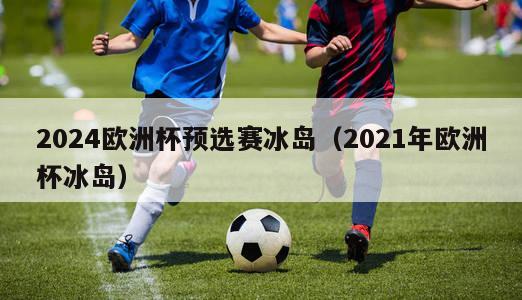 2024欧洲杯预选赛冰岛（2021年欧洲杯冰岛）-第1张图片-