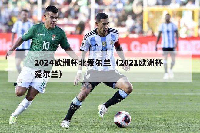 2024欧洲杯北爱尔兰（2021欧洲杯 爱尔兰）-第1张图片-