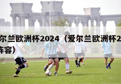 爱尔兰欧洲杯2024（爱尔兰欧洲杯2023阵容）-第1张图片-