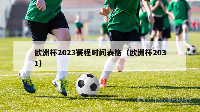 欧洲杯2023赛程时间表格（欧洲杯2031）-第1张图片-