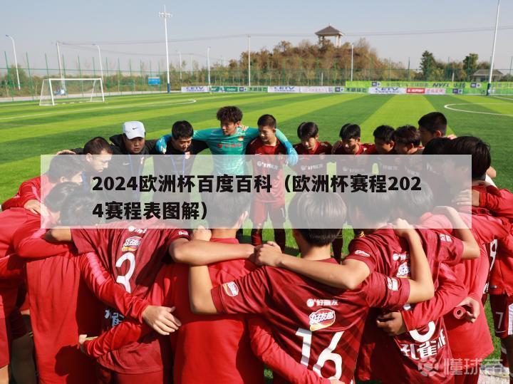 2024欧洲杯百度百科（欧洲杯赛程2024赛程表图解）-第1张图片-