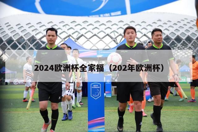 2024欧洲杯全家福（202年欧洲杯）-第1张图片-