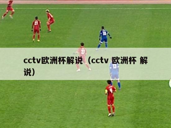 cctv欧洲杯解说（cctv 欧洲杯 解说）-第1张图片-