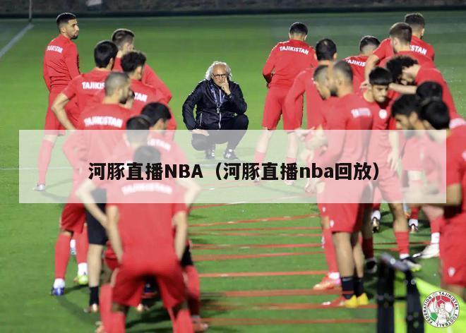 河豚直播NBA（河豚直播nba回放）-第1张图片-