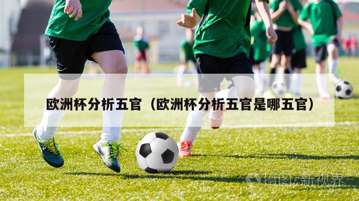 欧洲杯分析五官（欧洲杯分析五官是哪五官）-第1张图片-