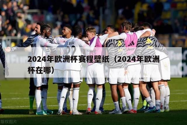 2024年欧洲杯赛程壁纸（2024年欧洲杯在哪）-第1张图片-