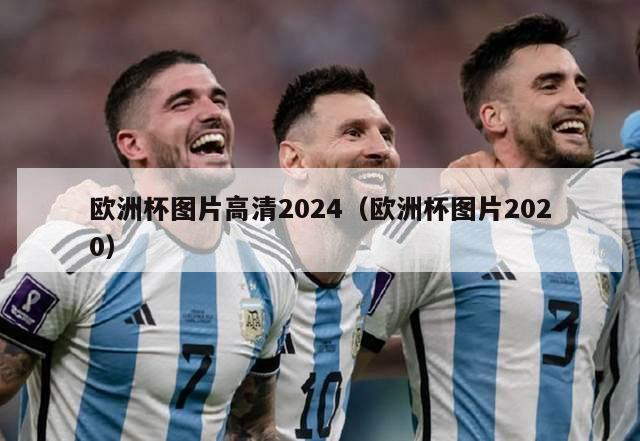 欧洲杯图片高清2024（欧洲杯图片2020）-第1张图片-