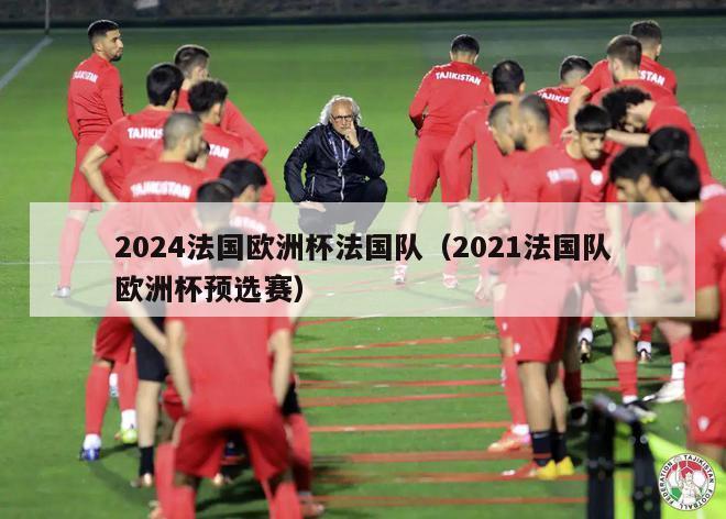 2024法国欧洲杯法国队（2021法国队欧洲杯预选赛）-第1张图片-