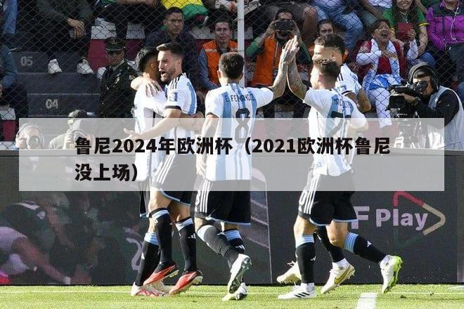 鲁尼2024年欧洲杯（2021欧洲杯鲁尼没上场）-第1张图片-