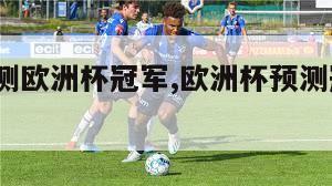 名宿预测欧洲杯冠军,欧洲杯预测冠军ldsportsa-第1张图片-