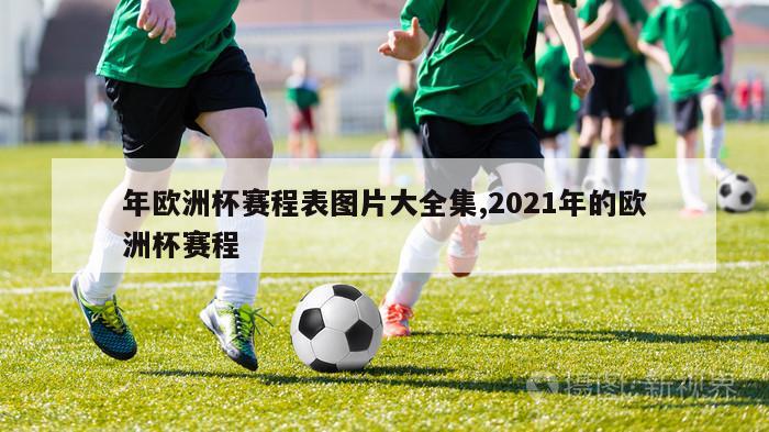 年欧洲杯赛程表图片大全集,2021年的欧洲杯赛程-第1张图片-